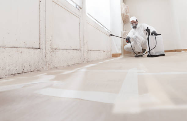 24/7 Emergency Mold Remediation experts in Belleville, IL
