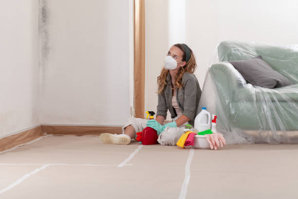 Reliable Mold Remediation contractor in Belleville, IL by WQB Mold Removal